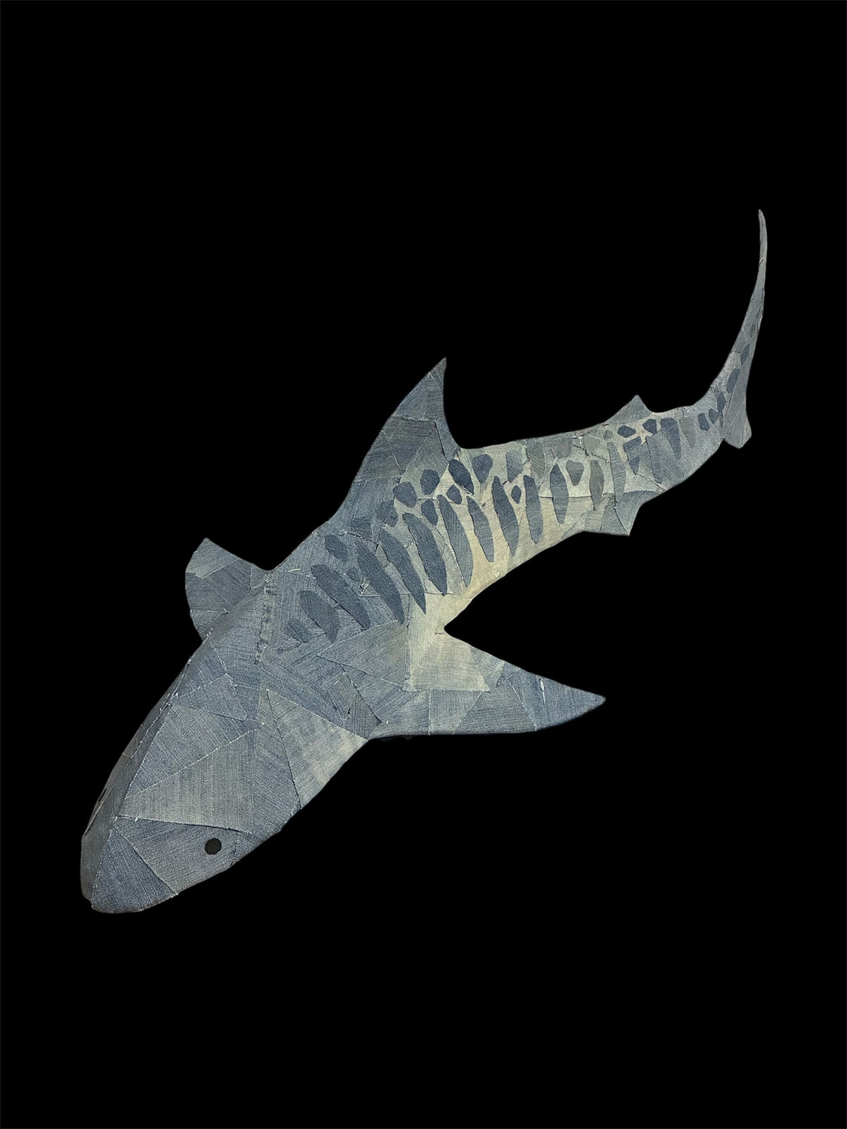 Jiger Shark